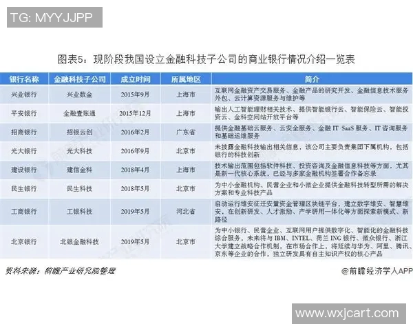 基于足球球星模板系统的创新应用与发展趋势分析