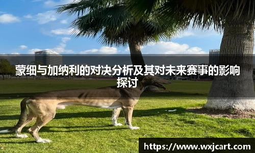 九游体育官网